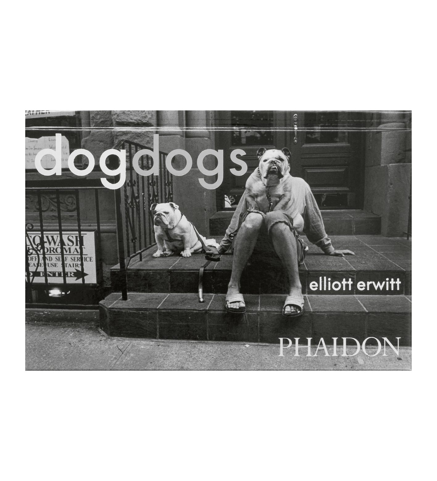 Elliott Erwitt: DogDogs