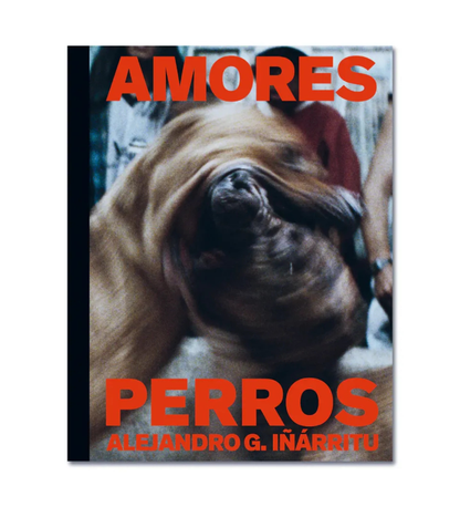 Alejandro G. Iñárritu: Amores Perros