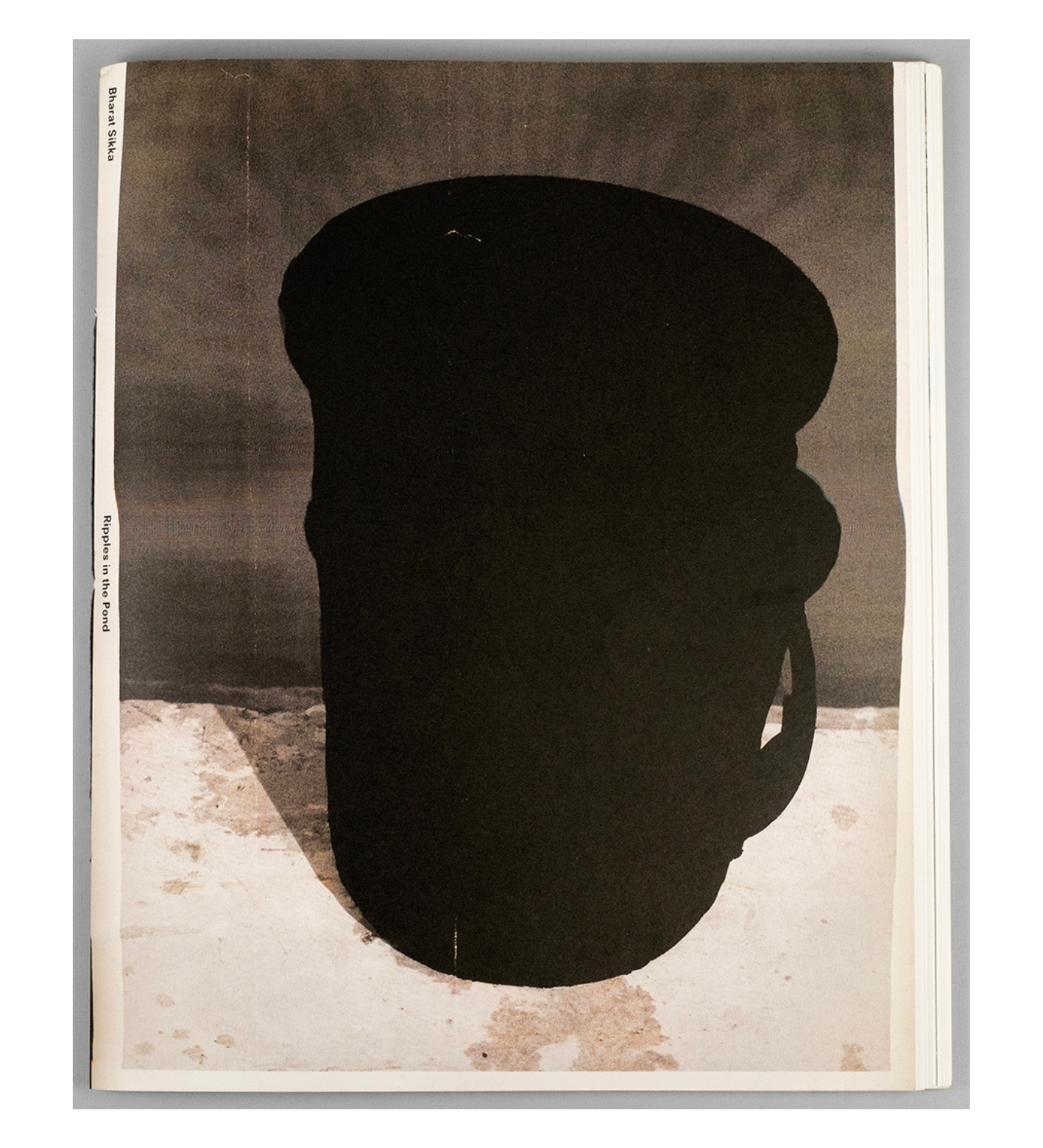 Bharat Sikka: Ripples in the Pond