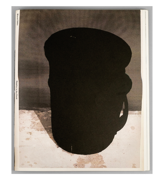 Bharat Sikka: Ripples in the Pond