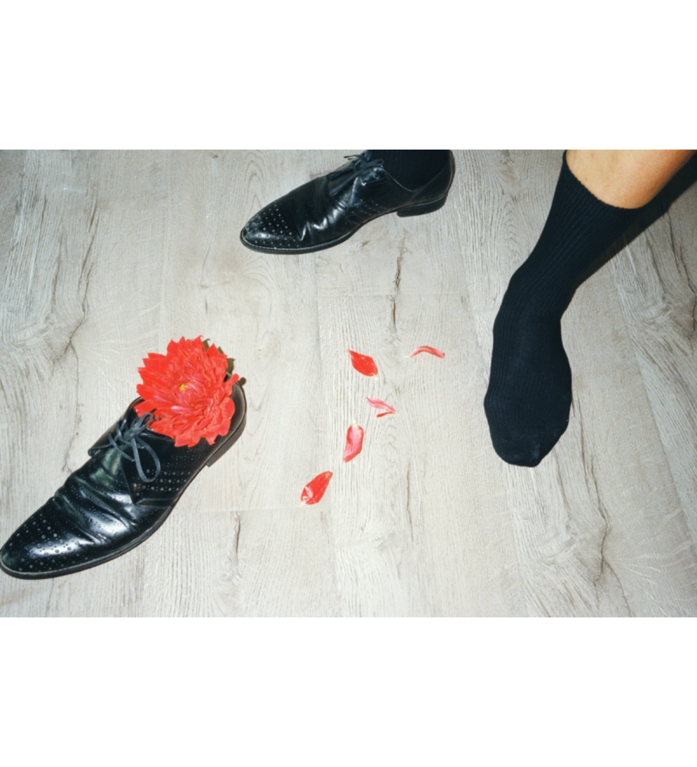 Lin Zhipeng (No.223): 223 BY 223 Vol.1