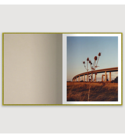 Laura McCluskey: Close to Home (signed)