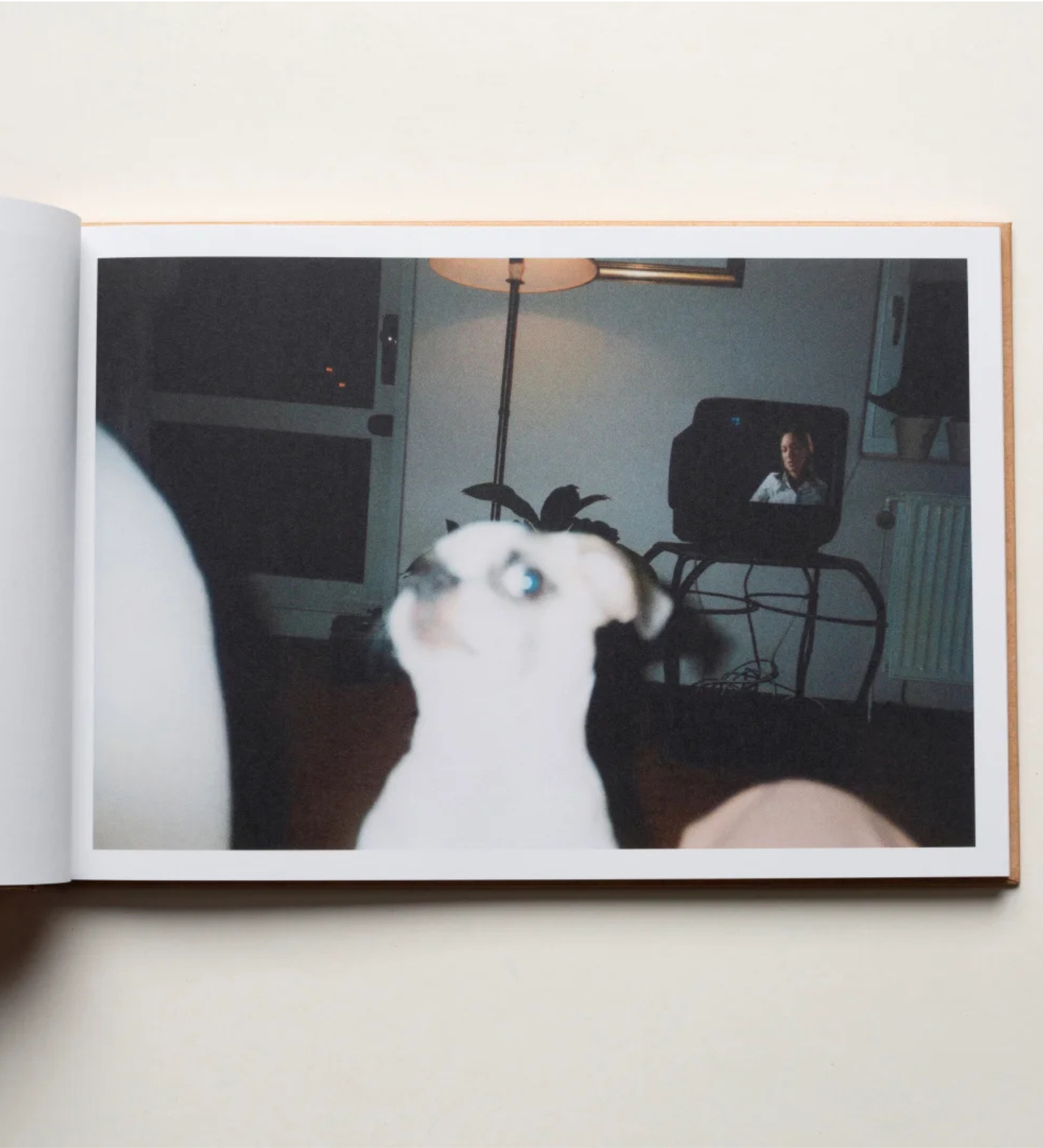 André Viking: Hello "Soul Mate"