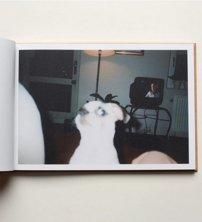 André Viking: Hello "Soul Mate"