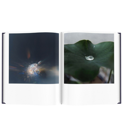 Rinko Kawauchi: Illuminance