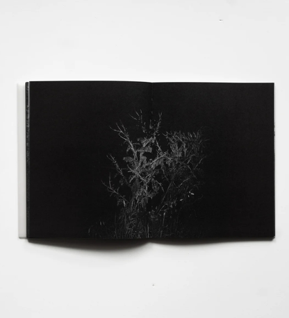 Maciej Forreiter and Jakub Szachnowski: RAREFIED