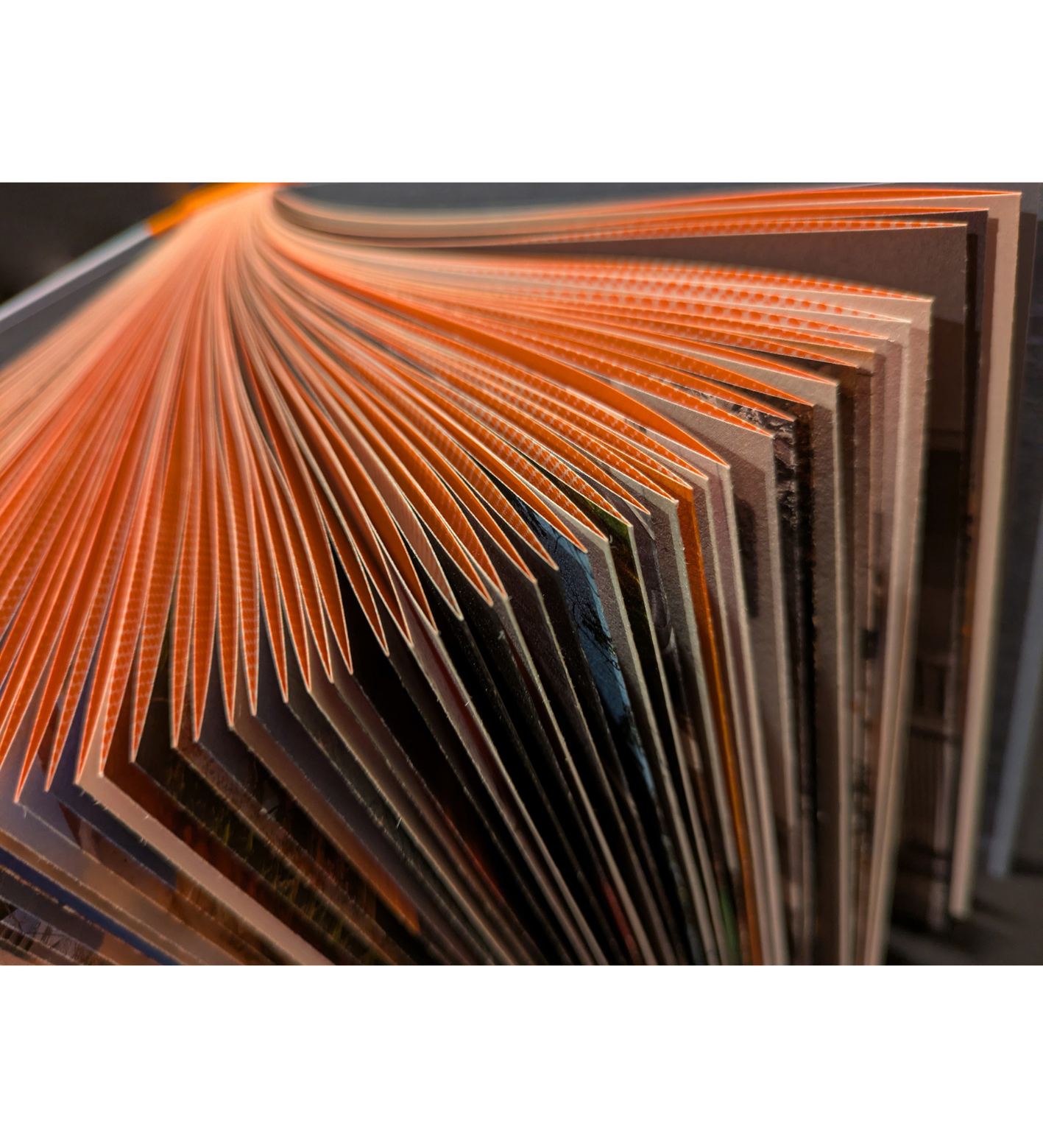 Bryan Anselm: Sound the Sirens