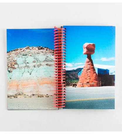 Louise Mutrel: DESERT GRILL DOLLAR TREE FOSSILS TRAP