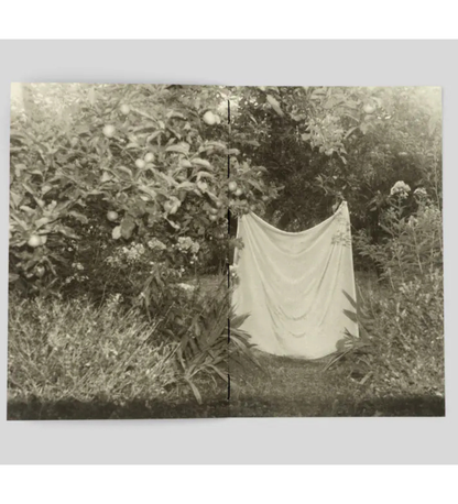 Katya Lesiv: I am going home to eat mulberries from the tree