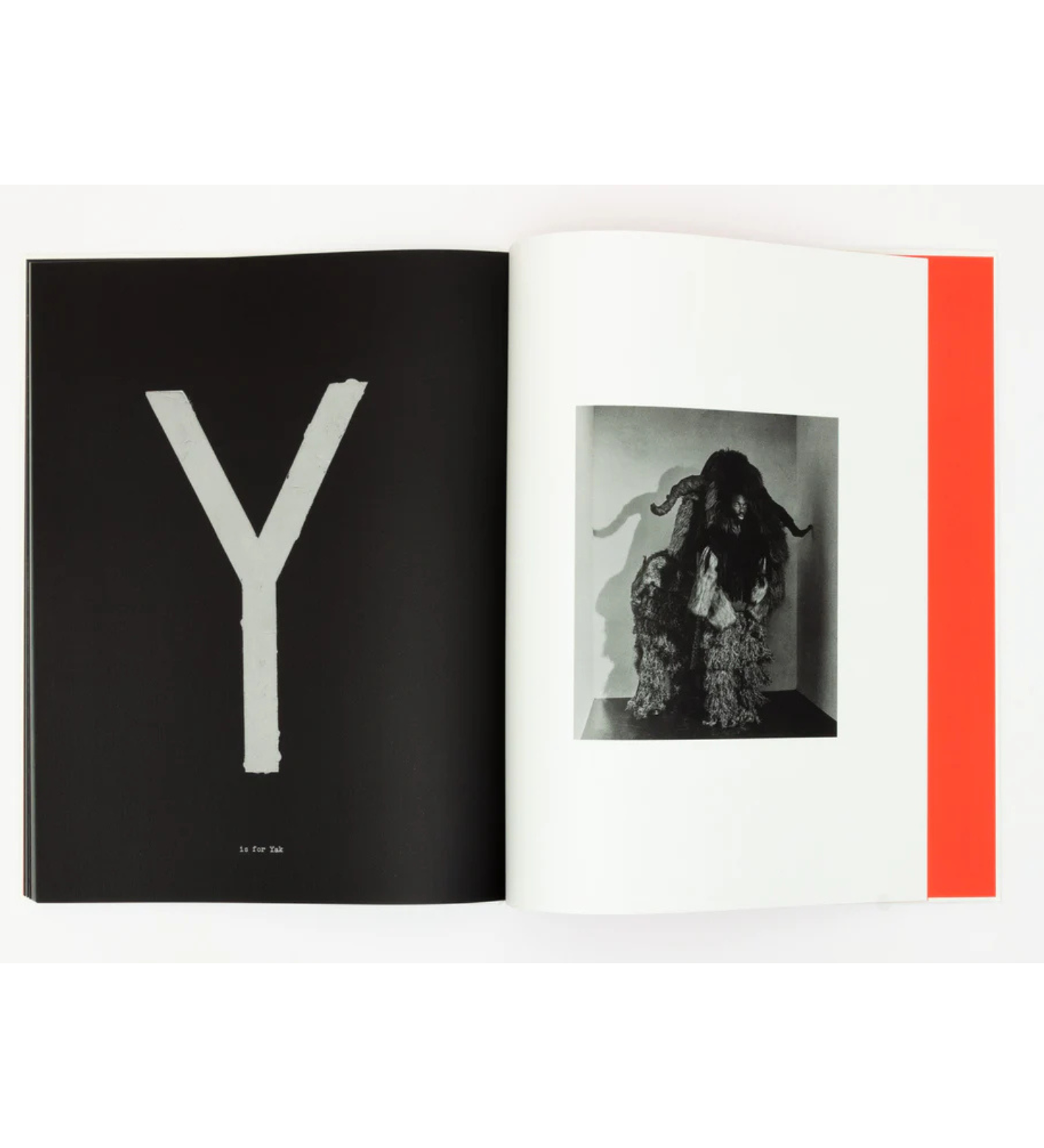 Jack Davison: A is for Ant (signed)