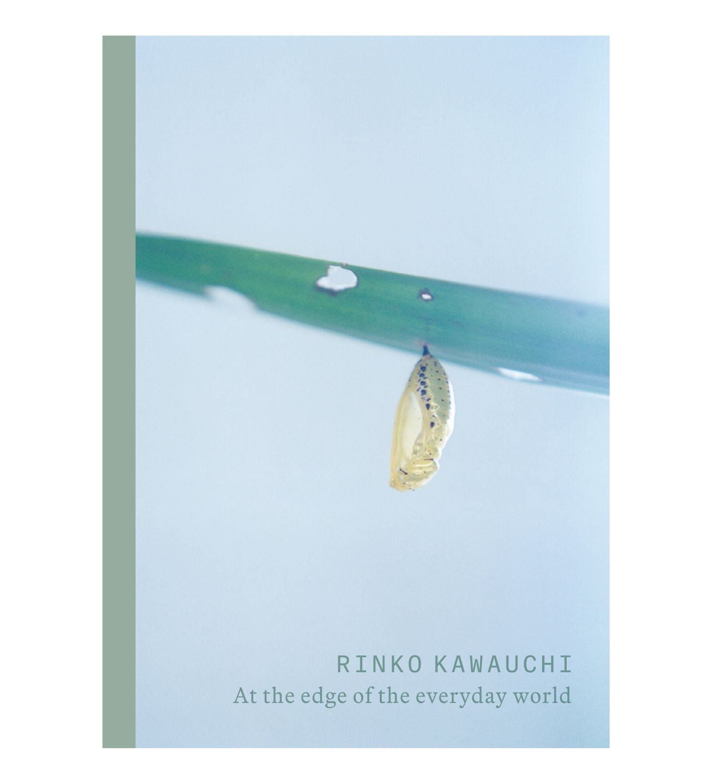 Rinko Kawauchi: At the edge of the everyday world (signed)