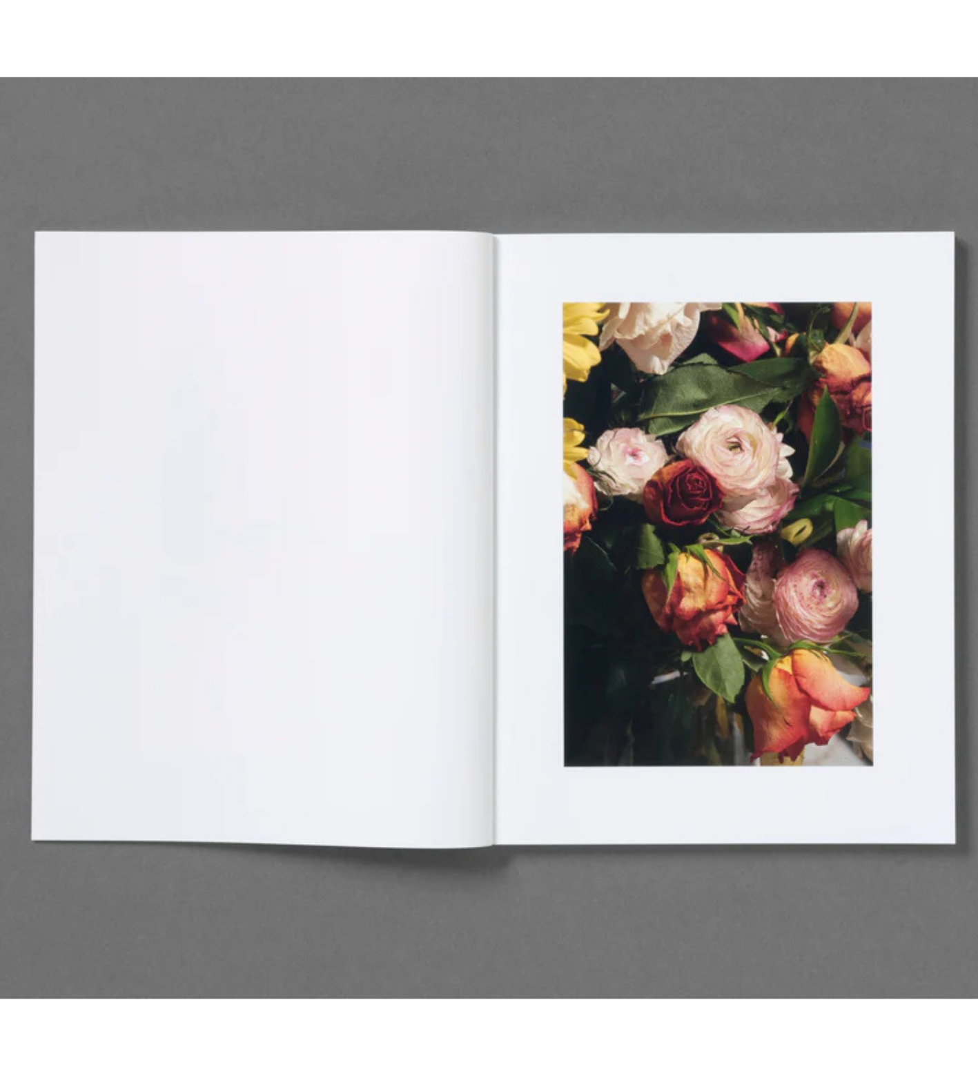 Roe Ethridge: Rude in the Good Way