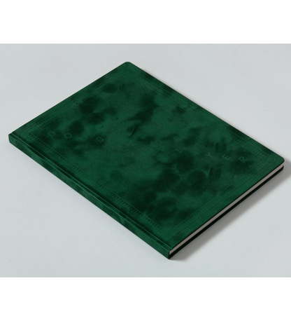 Peter Tomka: Double Player