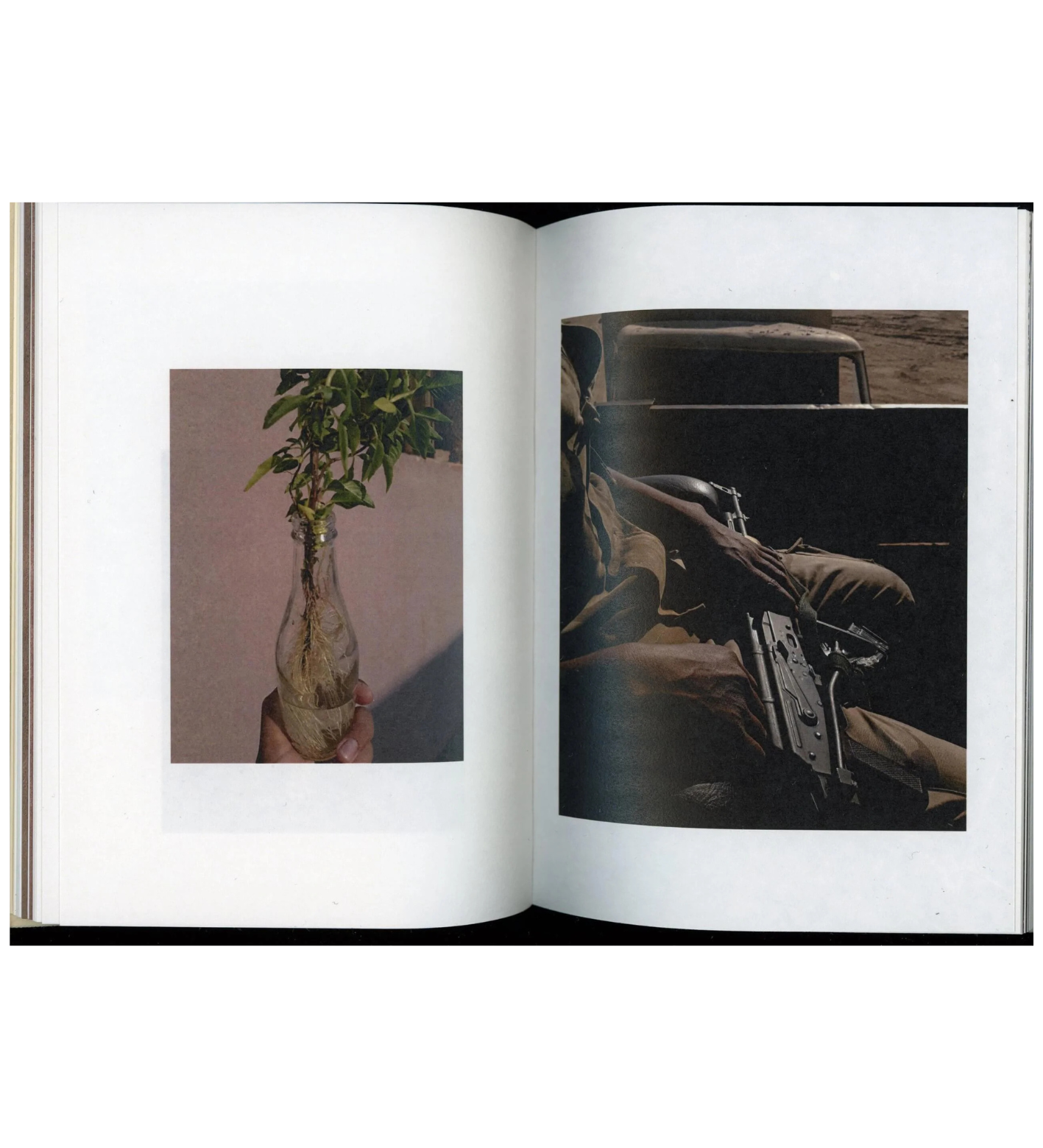 Mahmoud Khattab: The Dog Sat Where We Parted