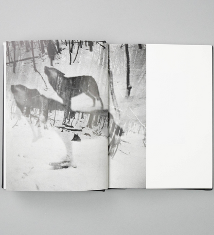 Anna Arendt: Vanishing (signed)