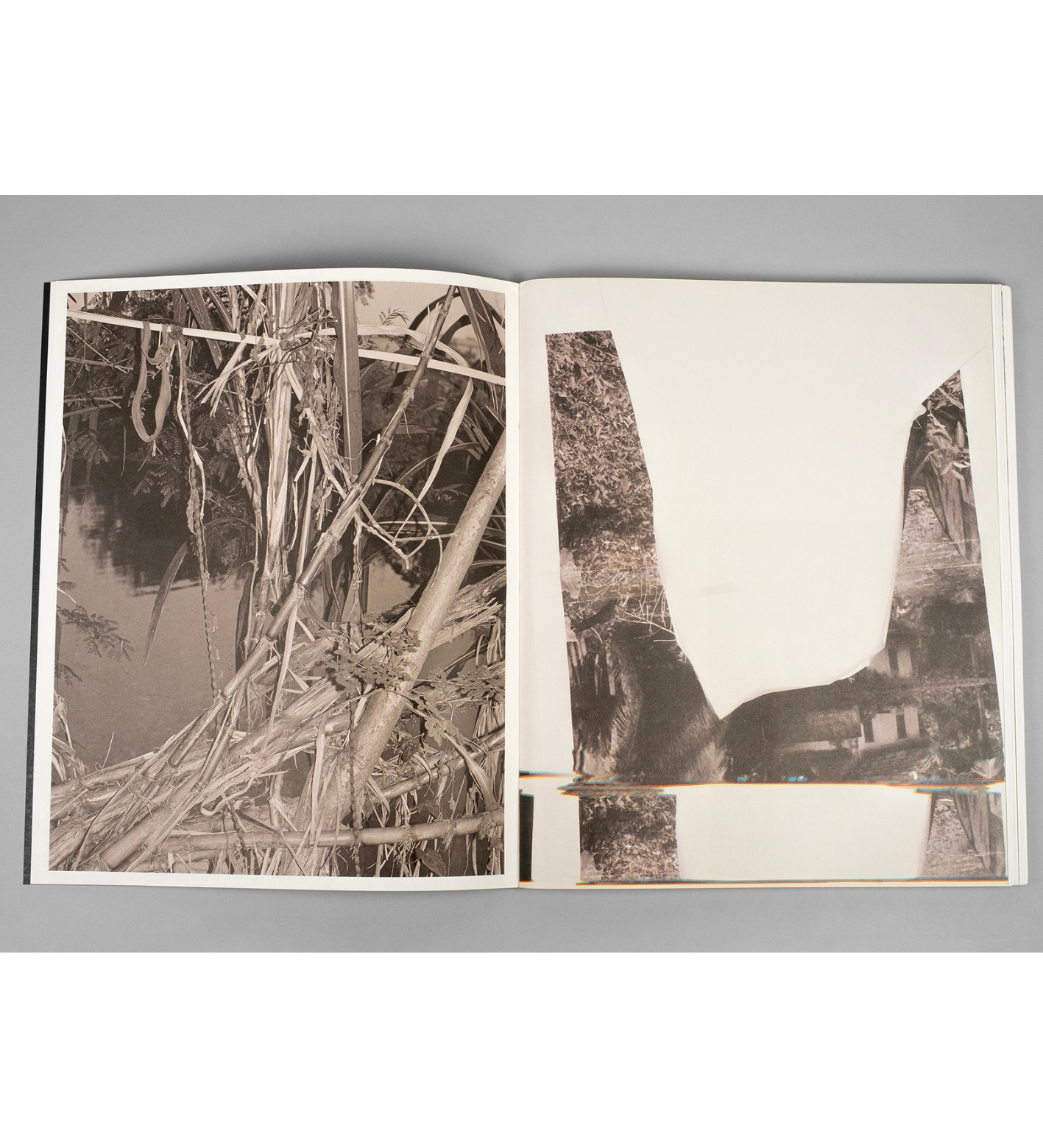 Bharat Sikka: Ripples in the Pond