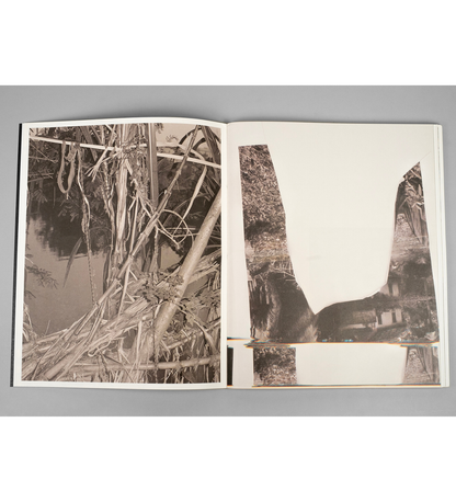 Bharat Sikka: Ripples in the Pond