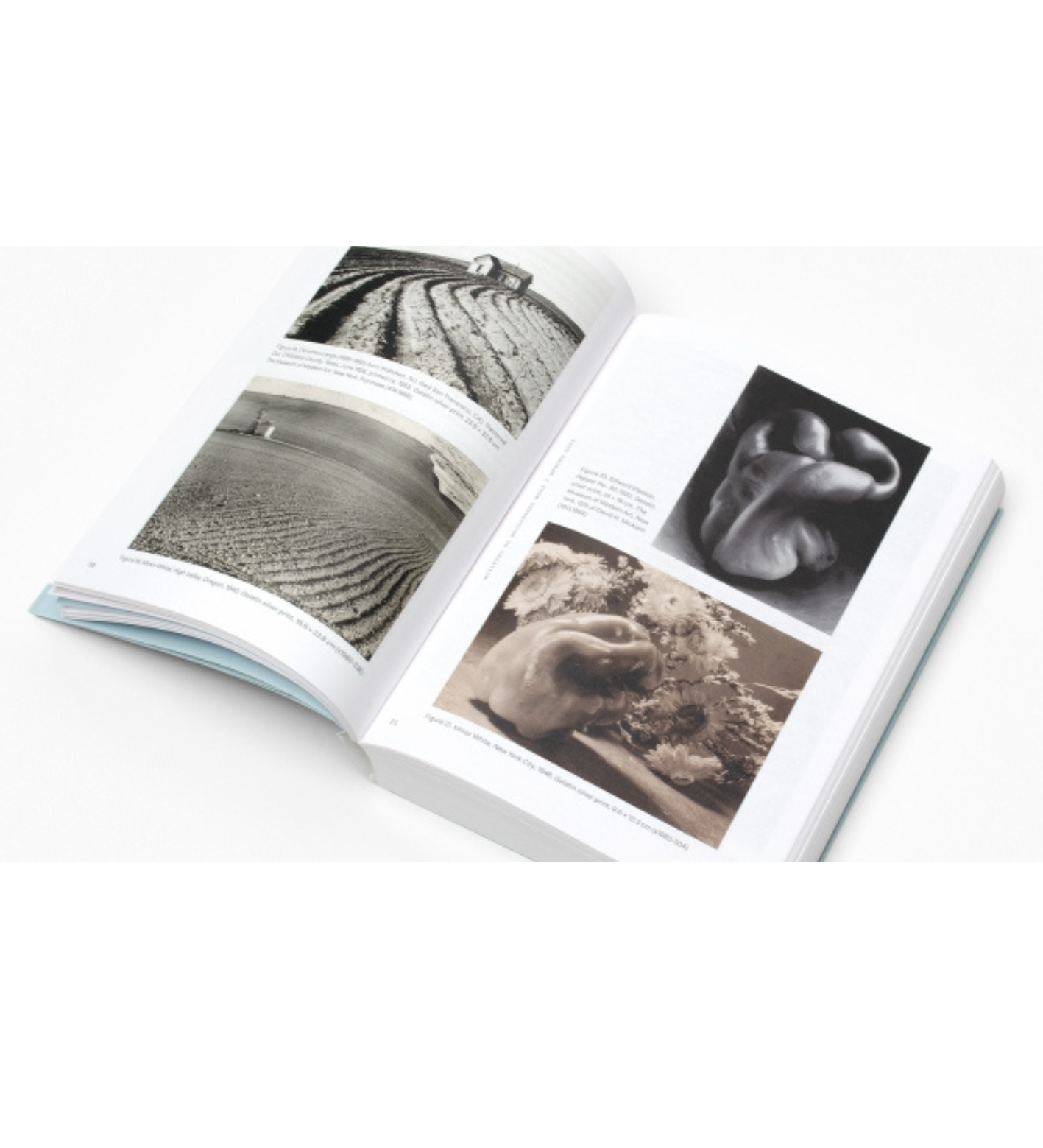 Minor White: Memorable Fancies