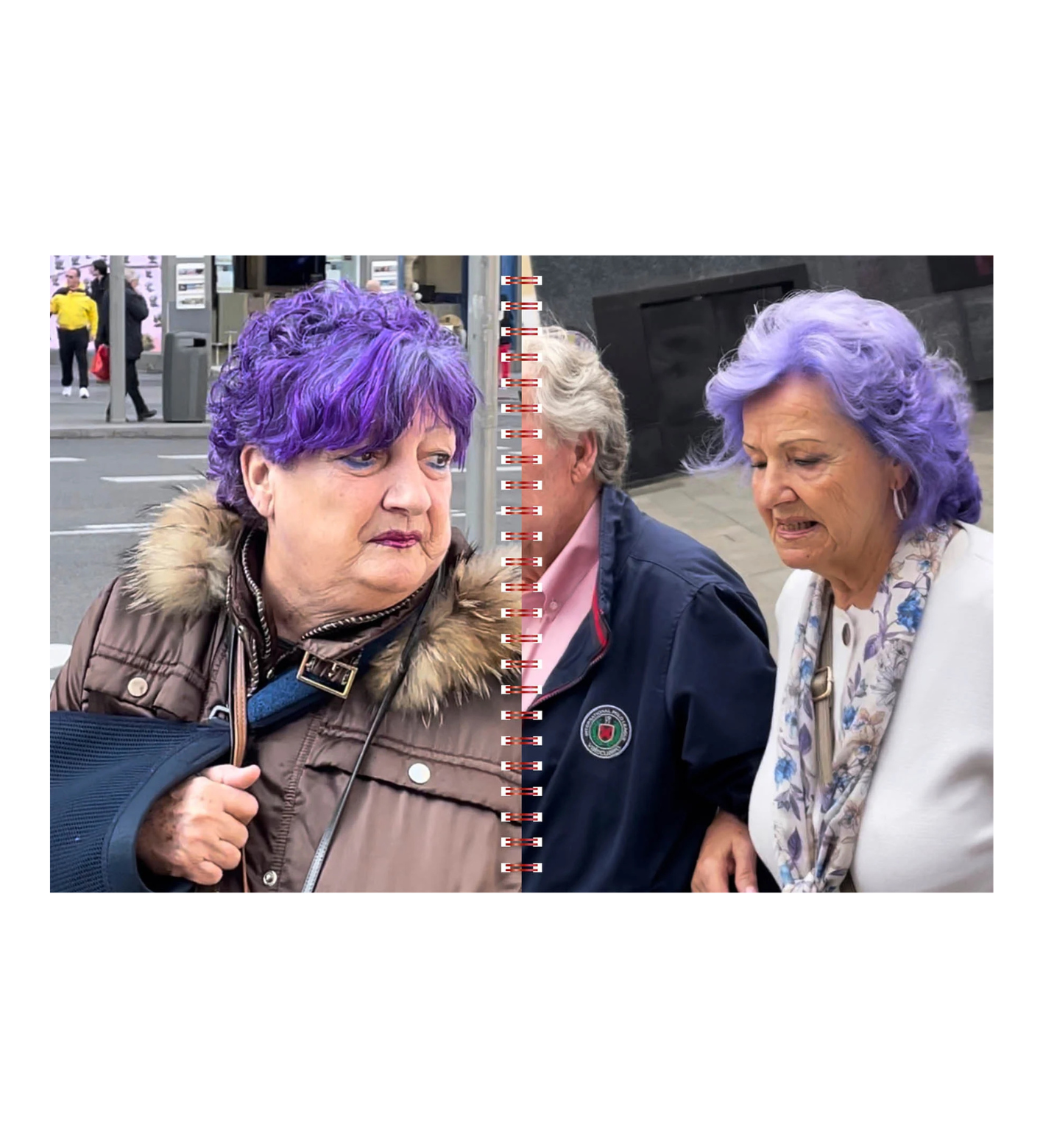 Ángela Suárez: Birds of Paradise