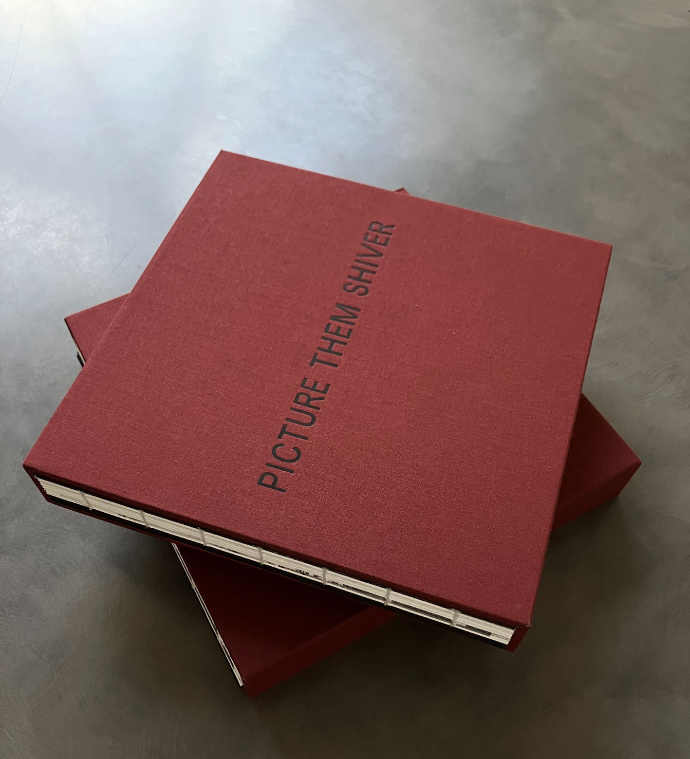 Lucas Eye: PICTURE THEM SHIVER (signed & numbered edition of 10)