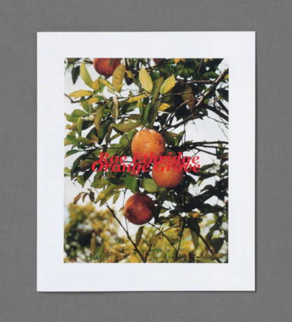 Roe Ethridge: In the Beginning