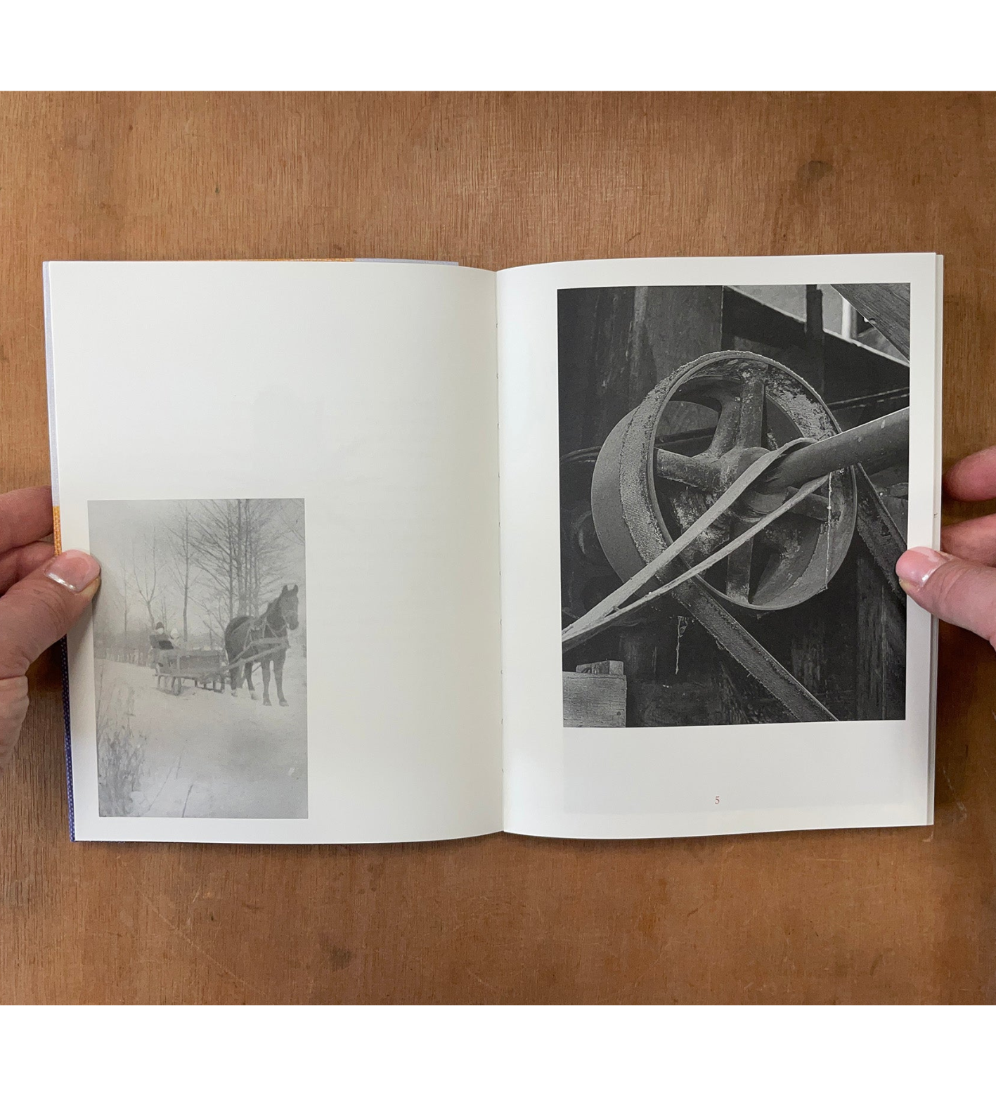 Anna Orłowska: Warm Mother Cold Mother