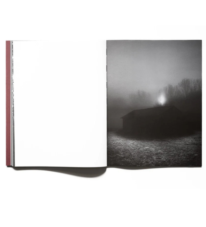 Tomasz Kawecki: IN PRAISE OF SHADOW