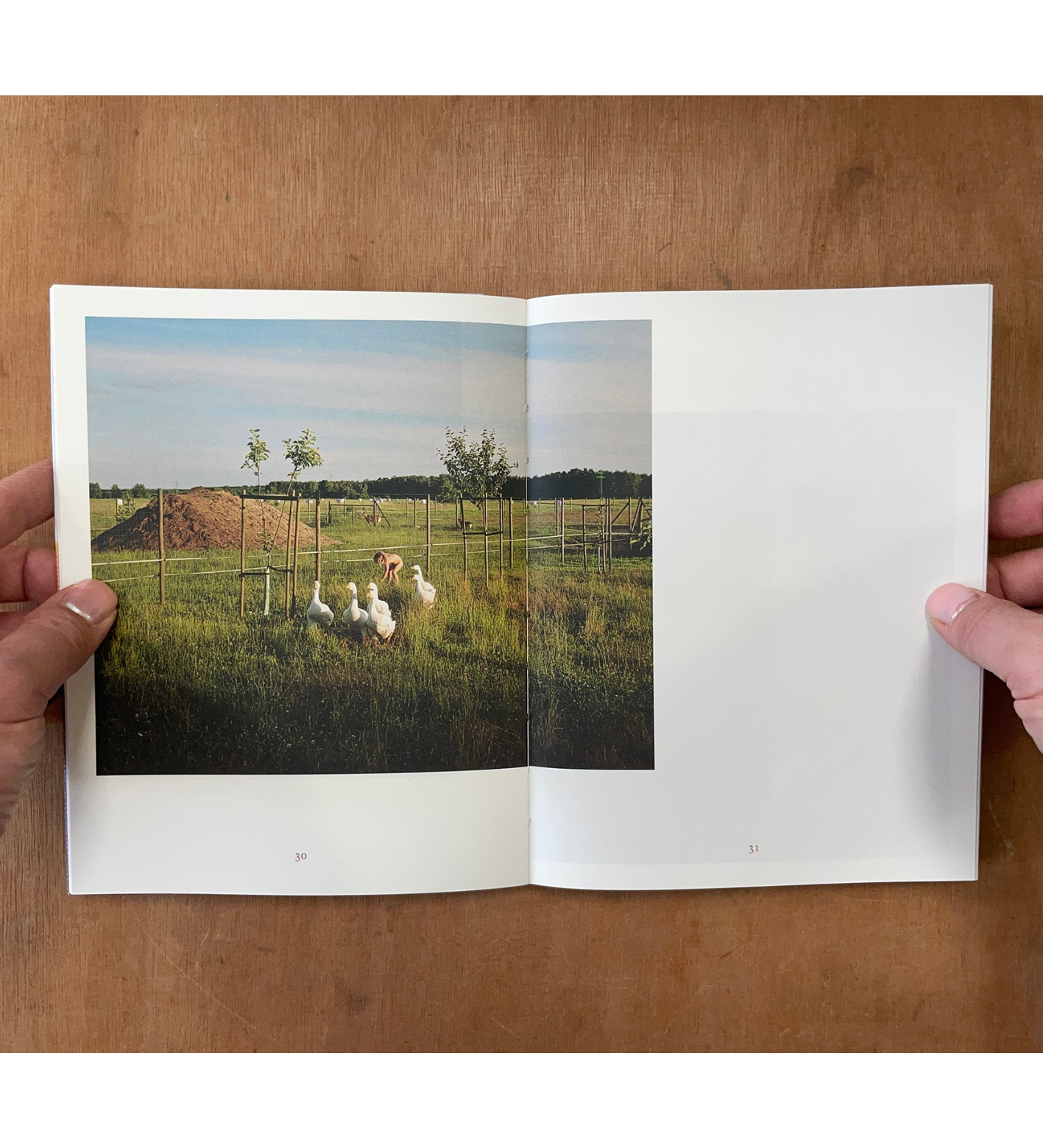 Anna Orłowska: Warm Mother Cold Mother