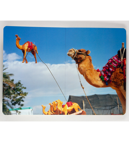 Martin Parr: Animals