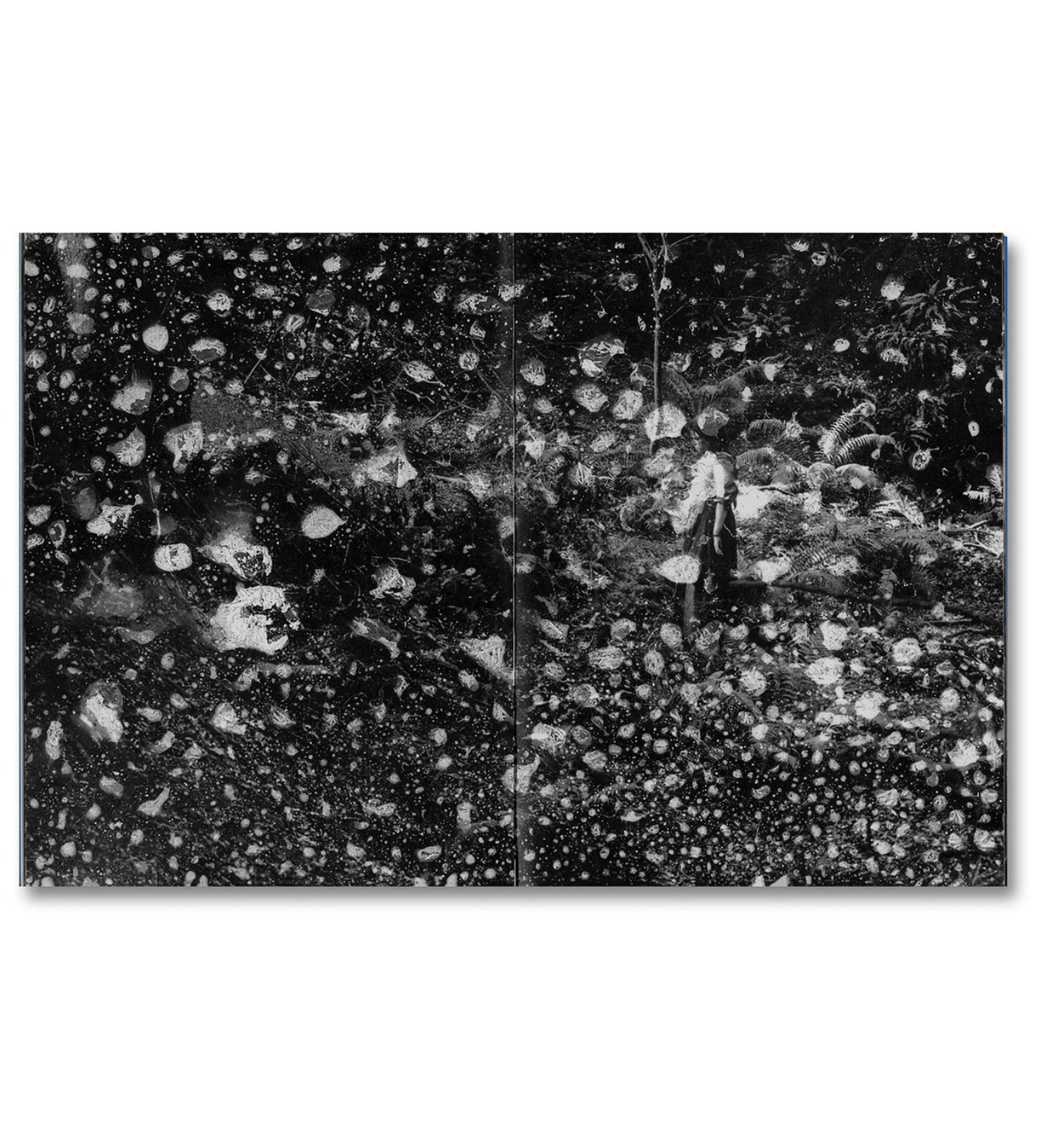 Even as a Shadow, Even as a Dream