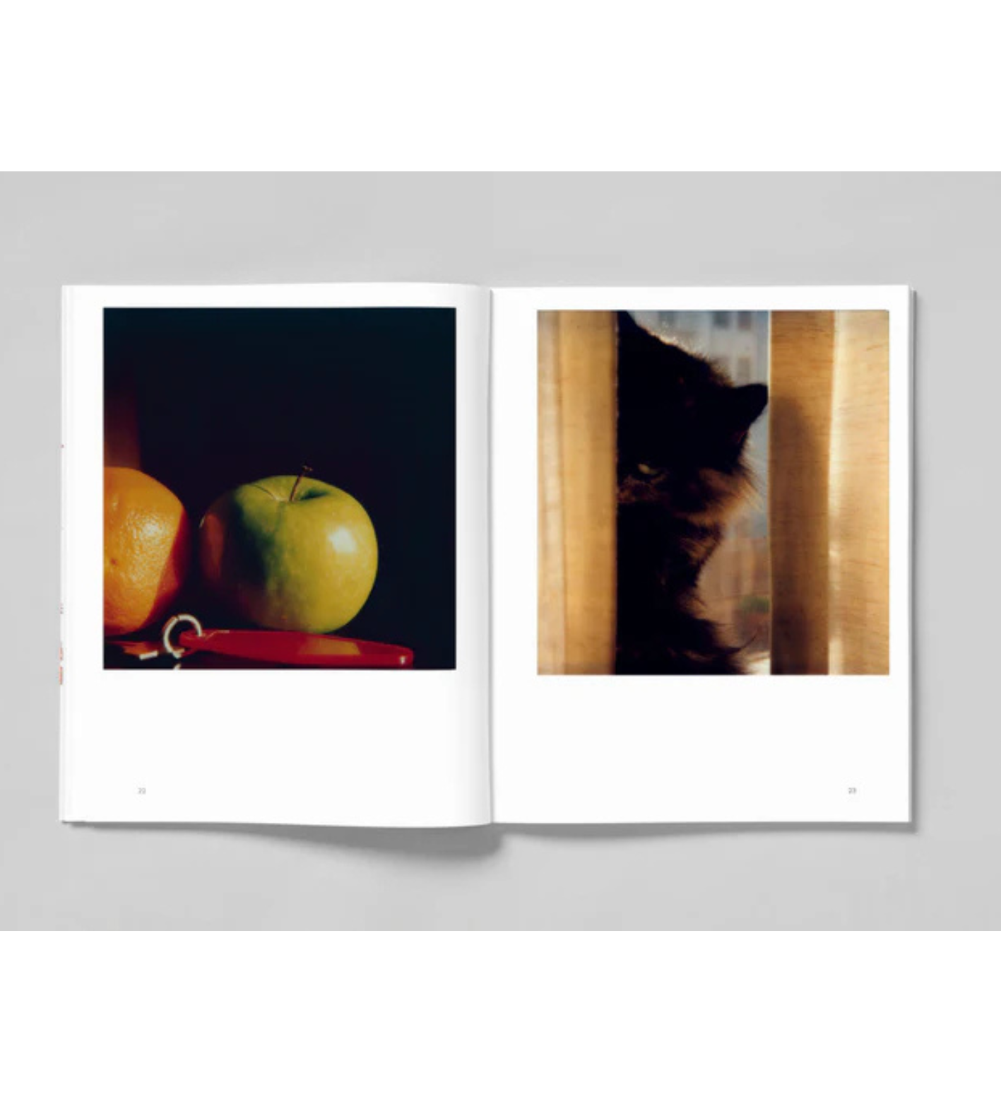 Robby Müller: L.A. Polaroids