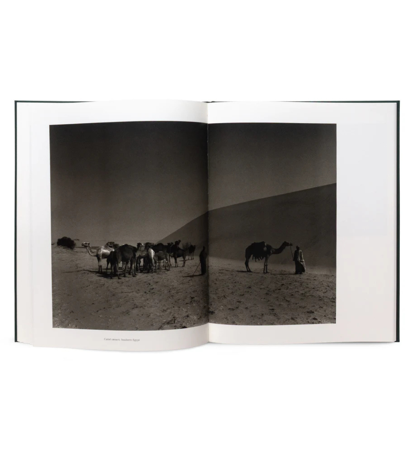 Don McCullin: The Stillness of Life