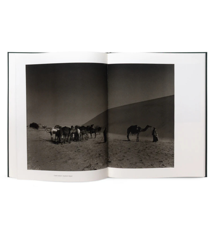 Don McCullin: The Stillness of Life