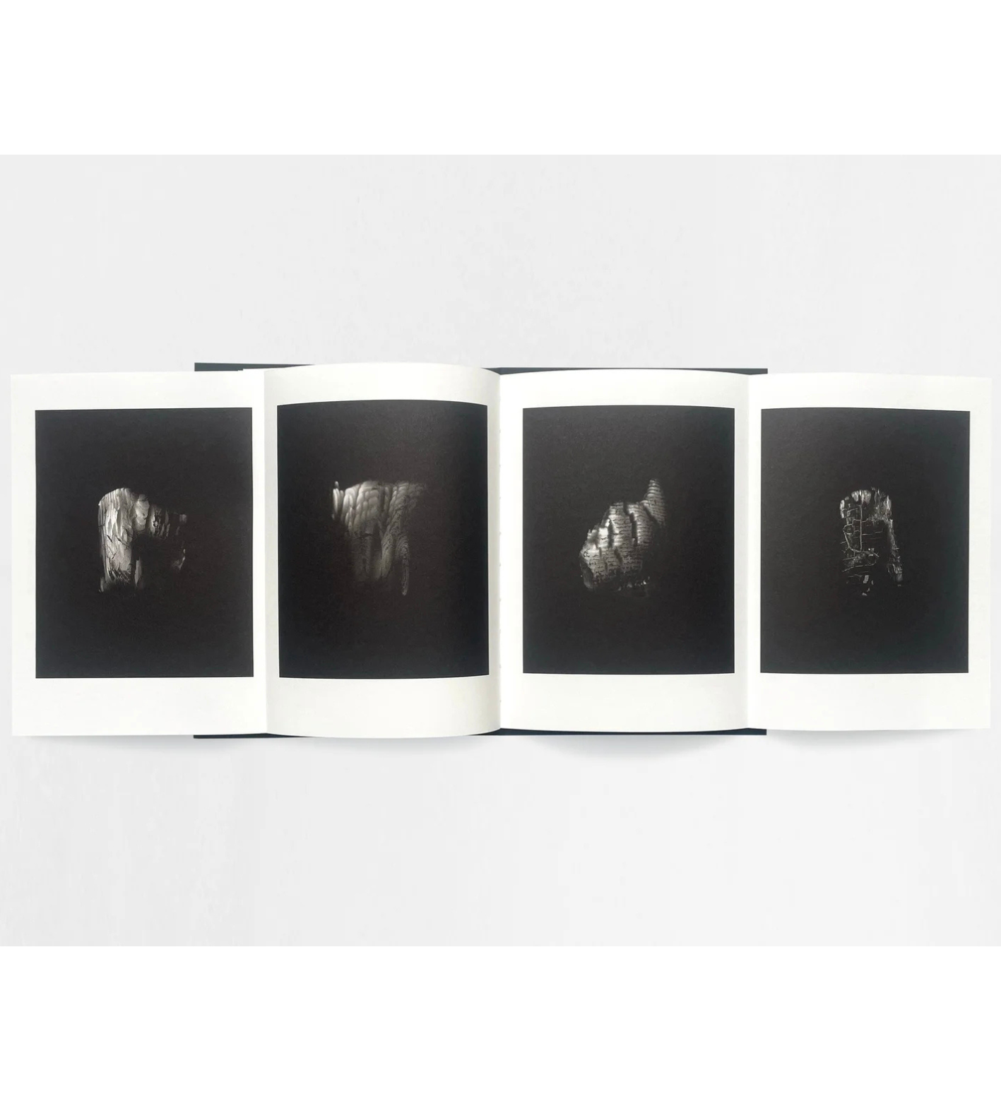 Sam Laughlin: Gathering Light (with signed print)