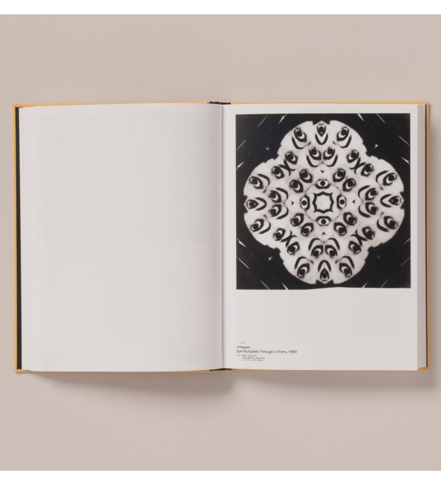 Cécile Poimbœuf-Koizumi & Stephen Ellcock: Clin d'œil