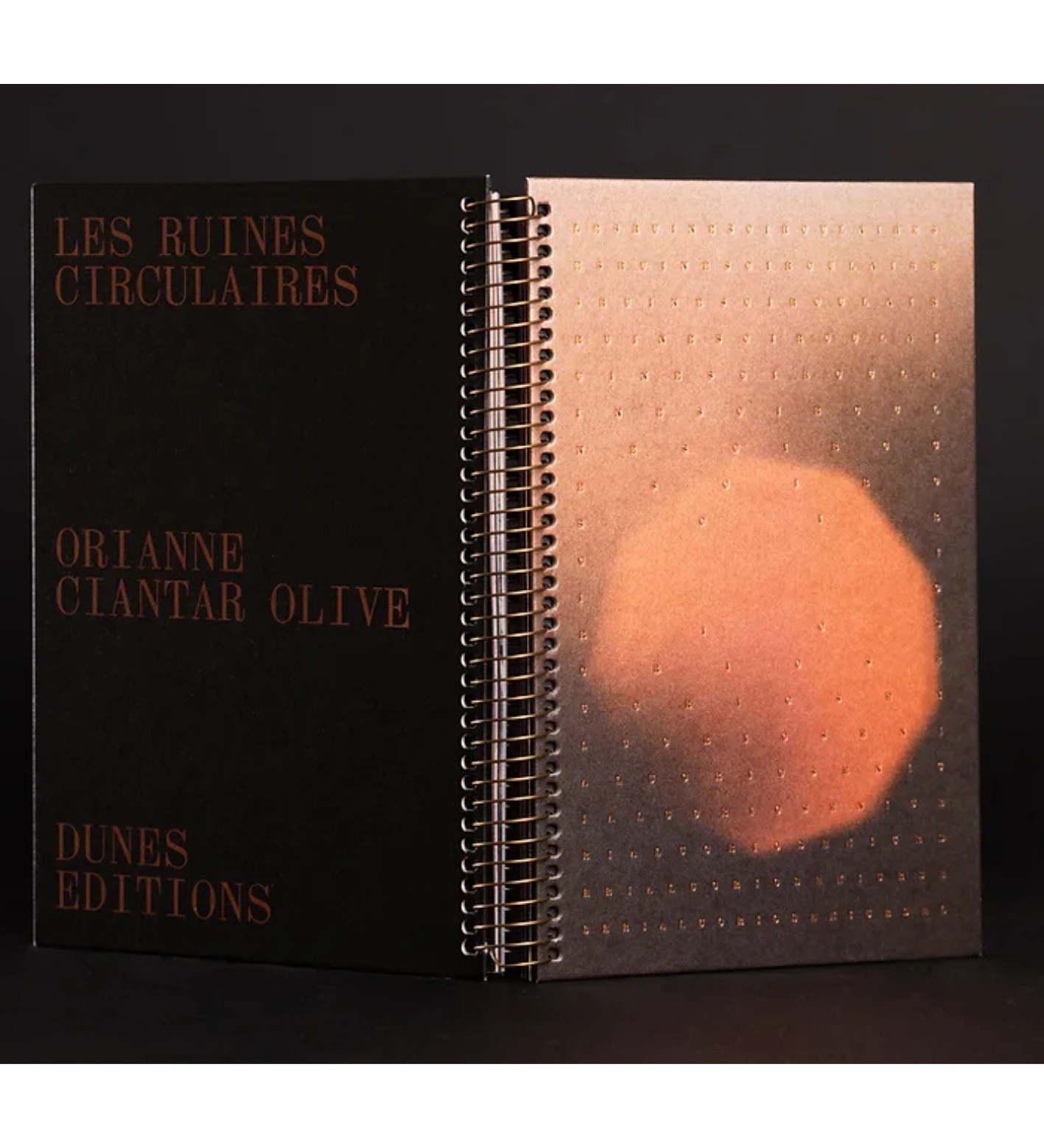 Orianne Ciantar Olive: LES RUINES CIRCULAIRES