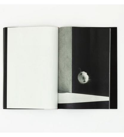 Jack Davison: A is for Ant Children's Edition (signed)