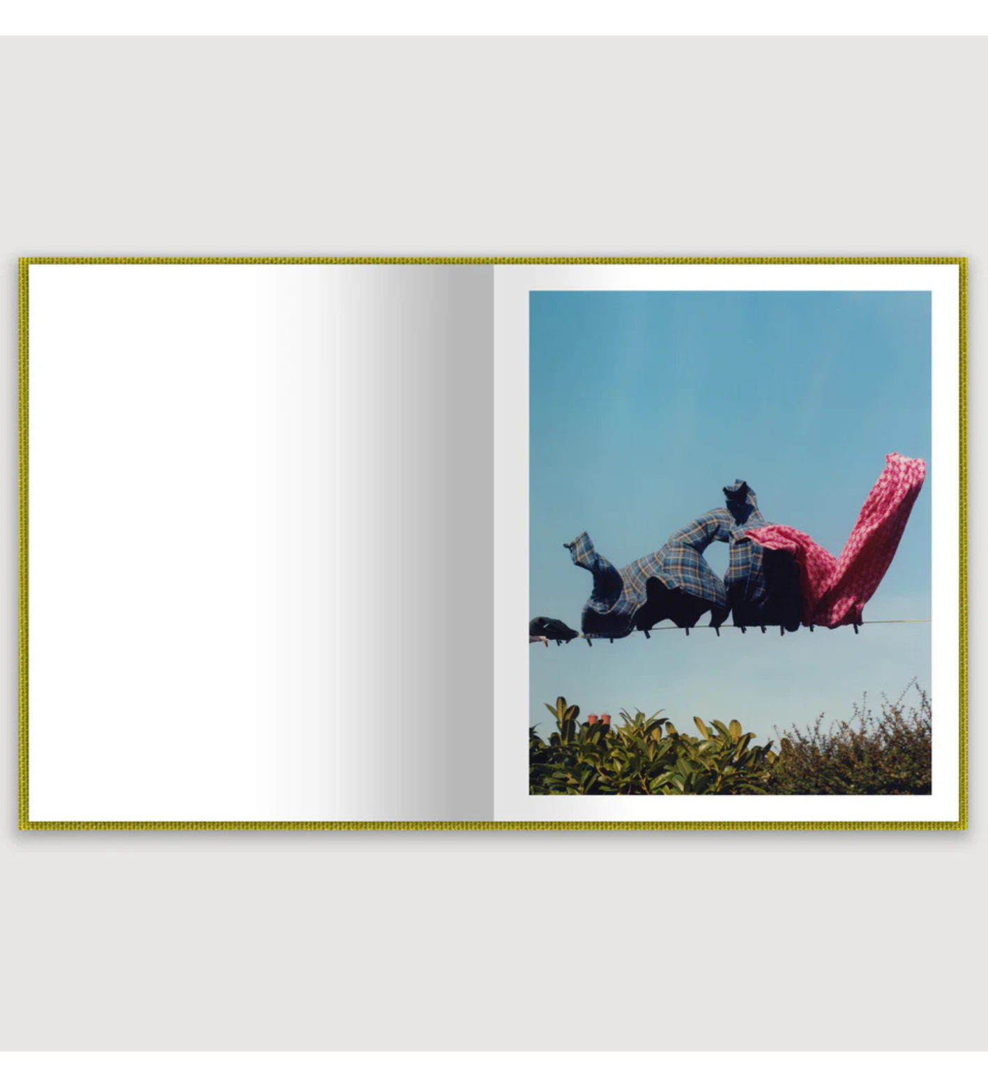 Laura McCluskey: Close to Home (signed)