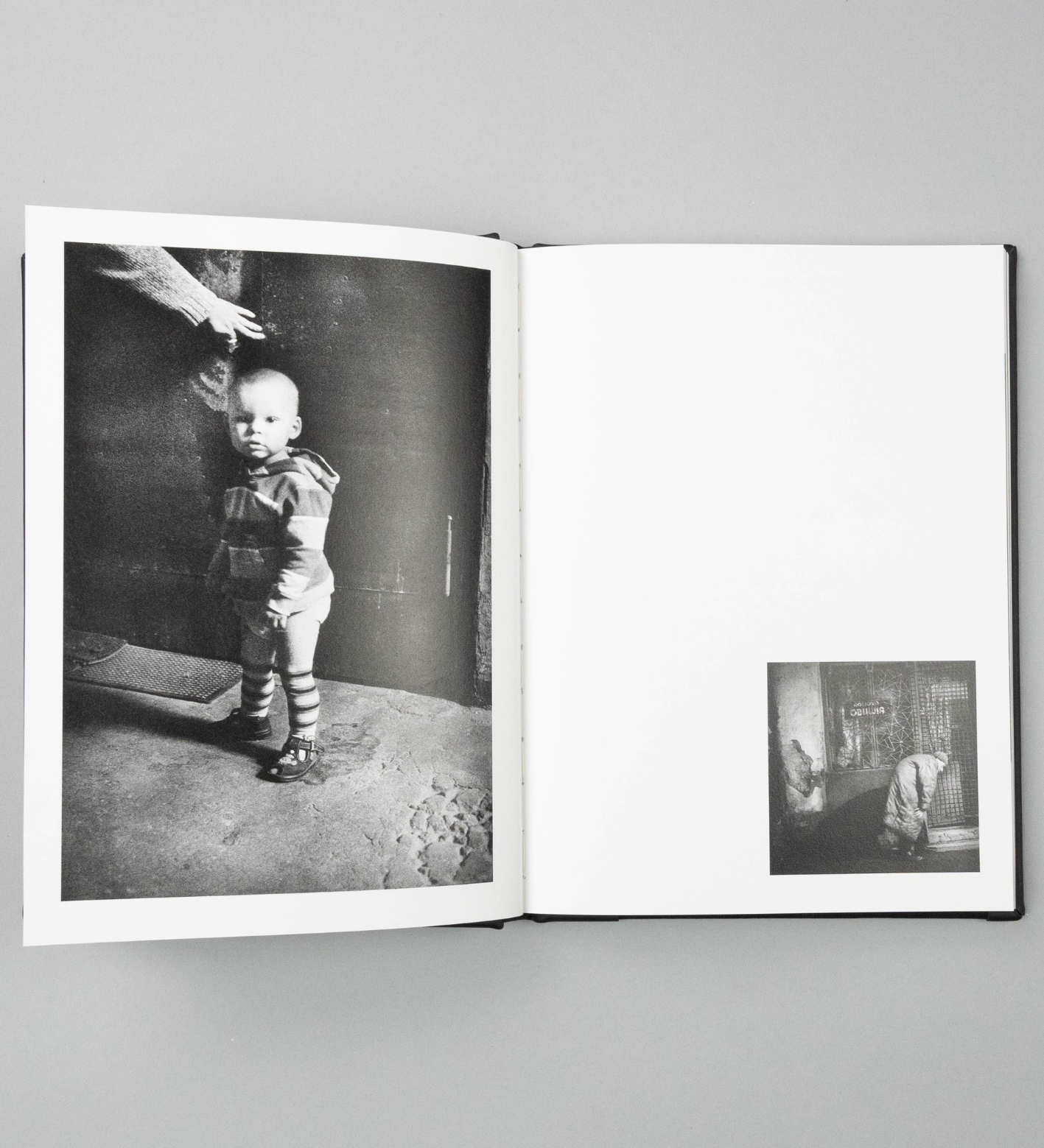 Anna Arendt: Vanishing (signed)