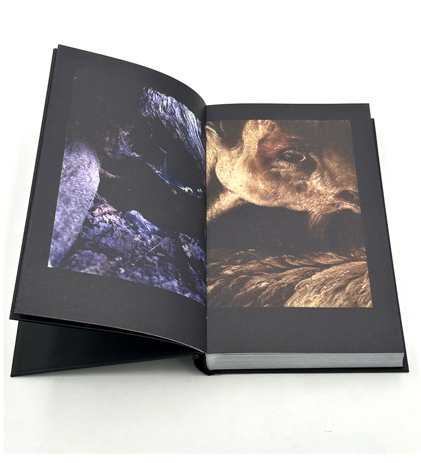 Boris Mikhailov: "...in search of window of Opportunity / Exodus..."