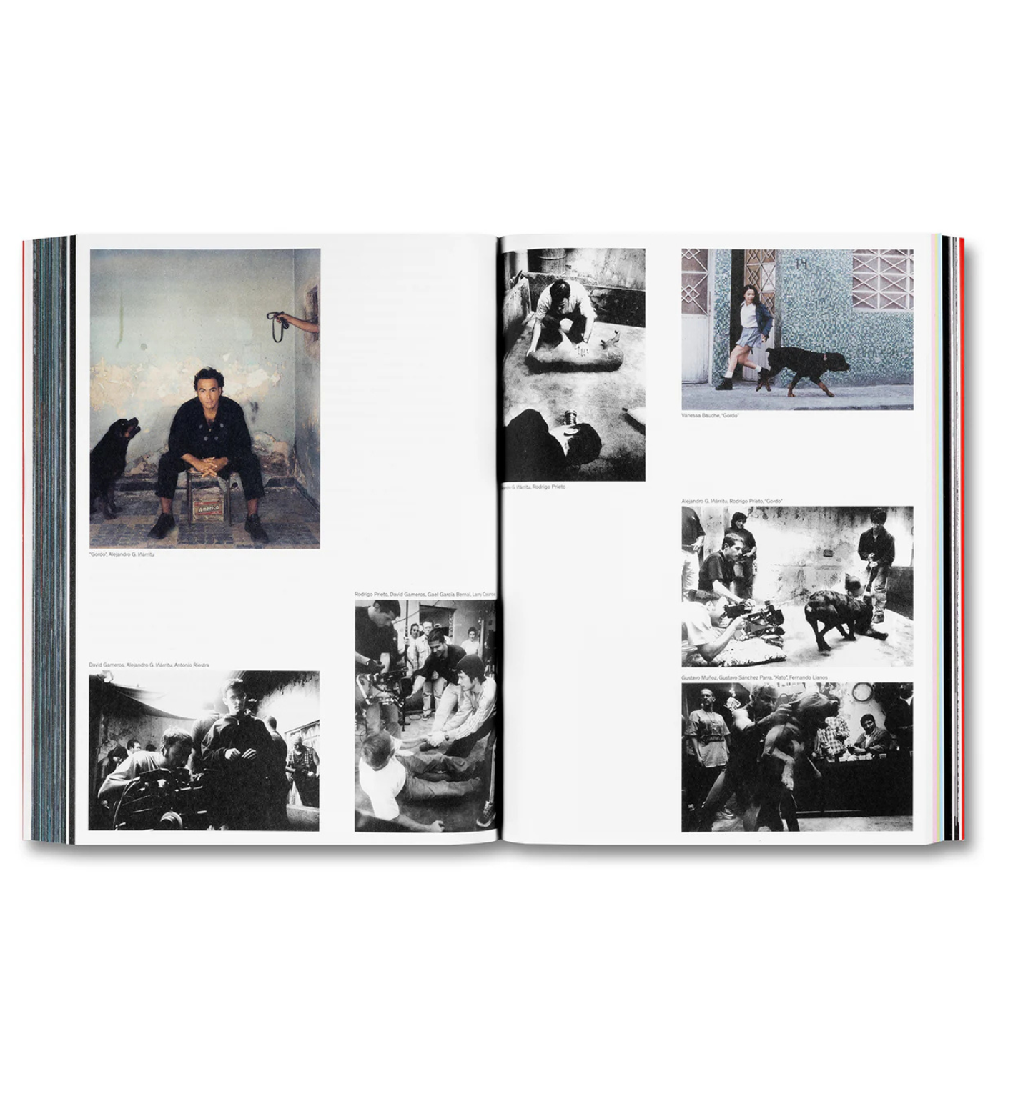 Alejandro G. Iñárritu: Amores Perros