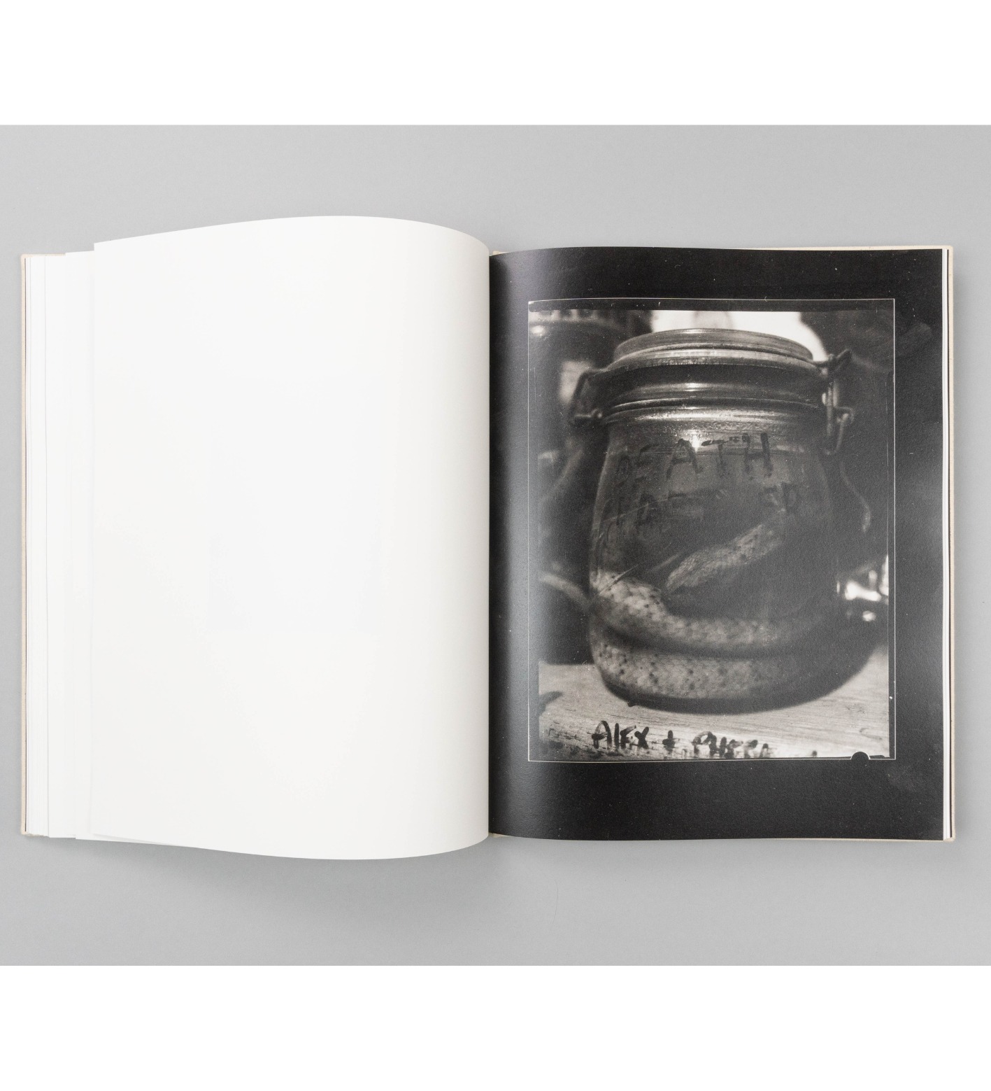 Rory King: Gumsucker (pre-order signed copies)