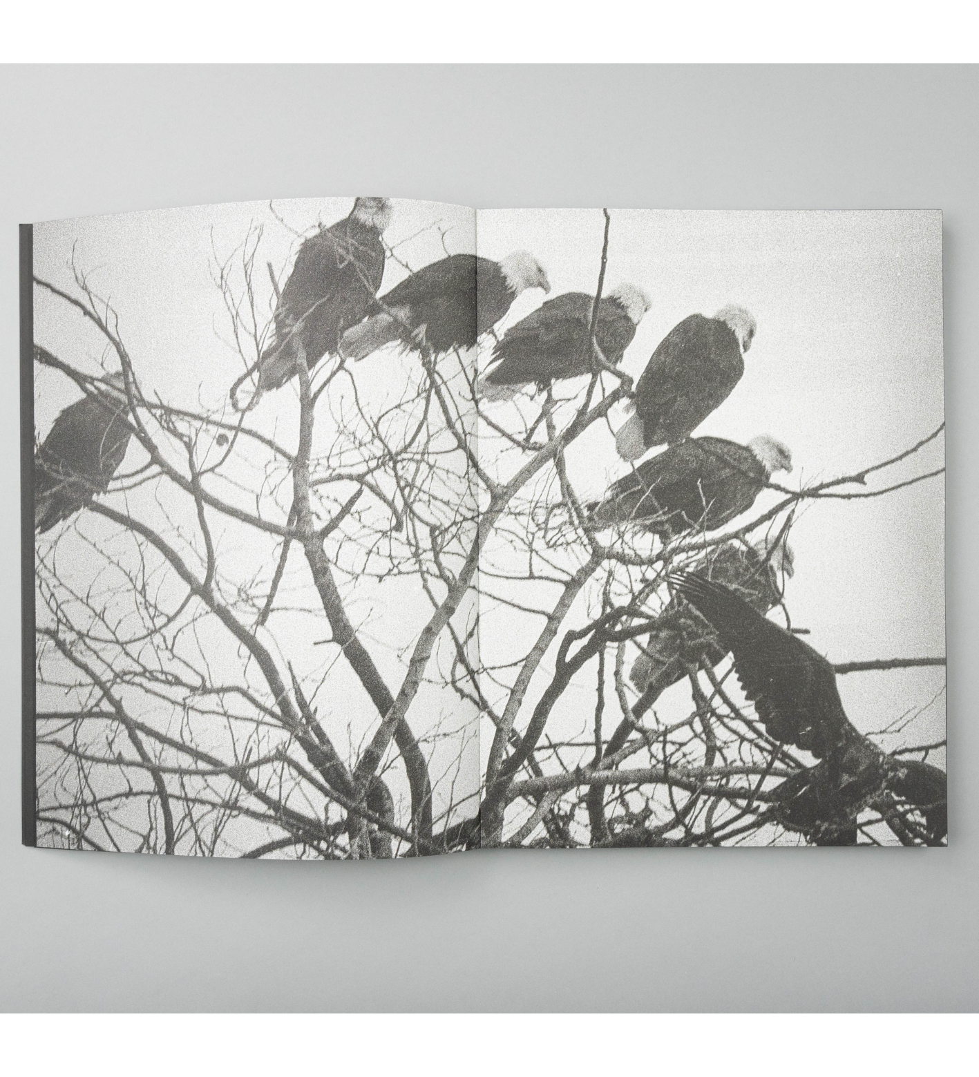 Marshall To: Blank Notes (pre-order signed copies)