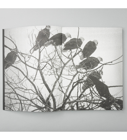 Marshall To: Blank Notes (pre-order signed copies)