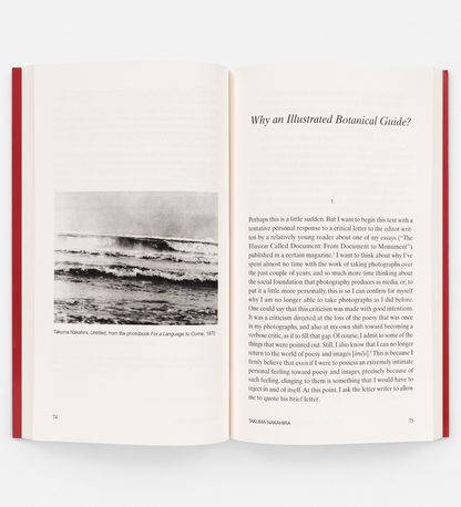 At the Limits of the Gaze - Selected writings by Takuma Nakahira