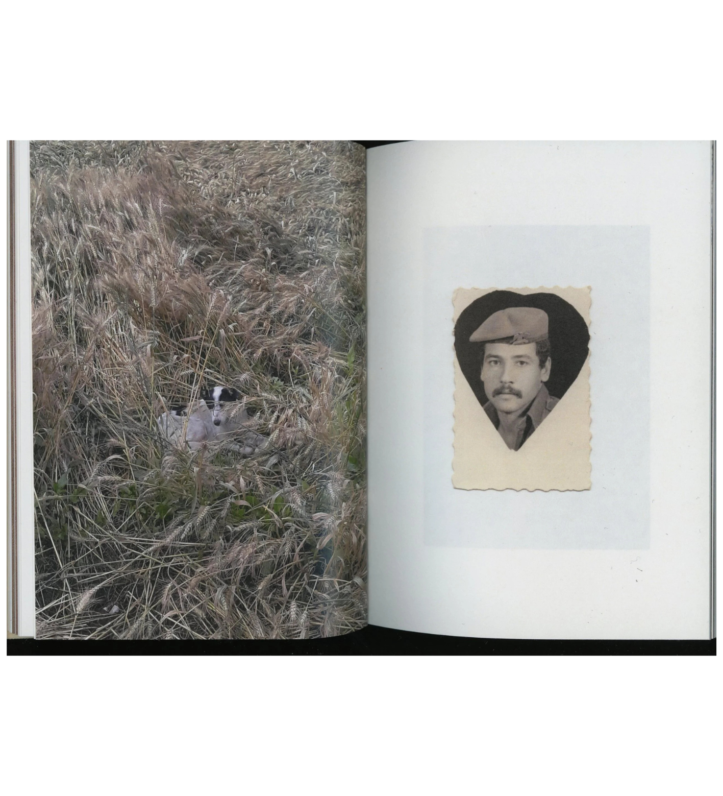 Mahmoud Khattab: The Dog Sat Where We Parted