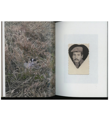 Mahmoud Khattab: The Dog Sat Where We Parted