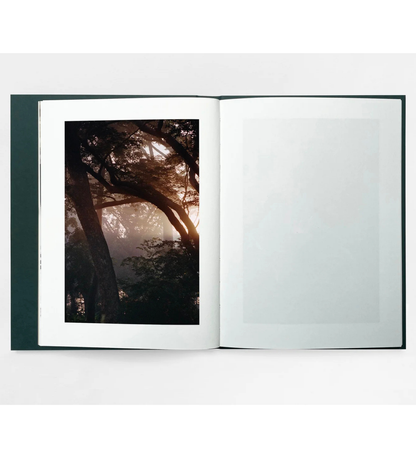 Henry Roy: The Land of Haunted Forests (with signed print)