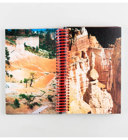 Louise Mutrel: DESERT GRILL DOLLAR TREE FOSSILS TRAP