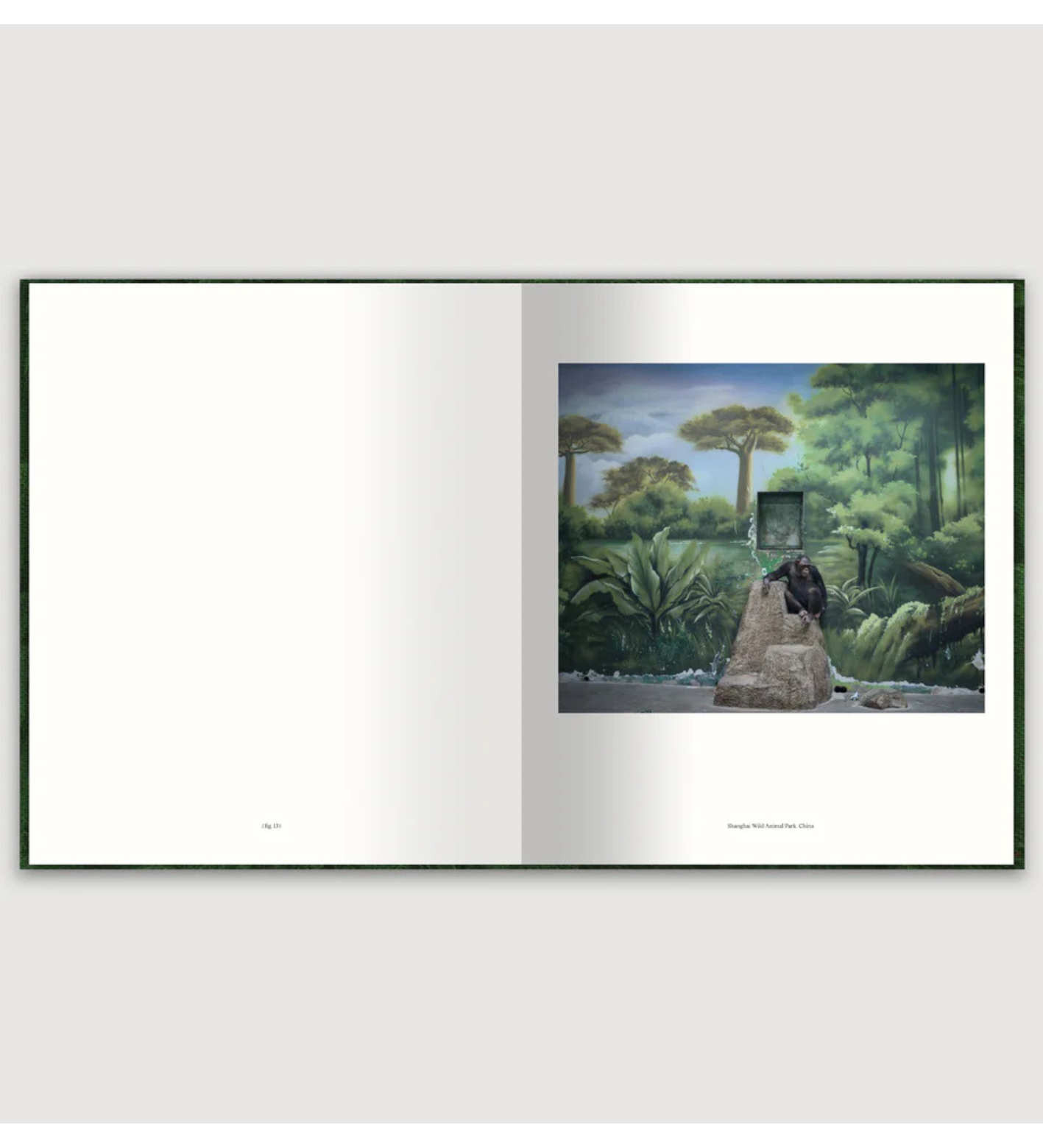 Zed Nelson: The Anthropocene Illusion (pre-order signed copies)